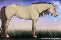 Horse Color:Classic Cream Champagne Dun