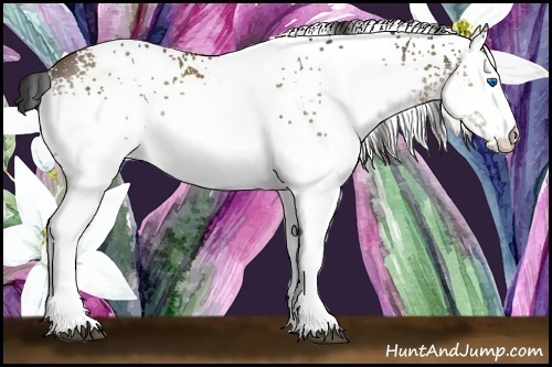 Horse Color:White Spotted Bay Splash 