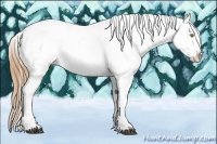 Horse Color:Chestnut Pearl Sabino Appaloosa Rabicano 