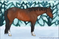 Horse Color:Bay Sabino Rabicano