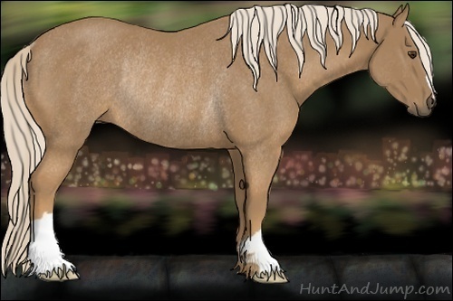 Horse Color:Palomino Rabicano