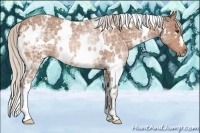 Horse Color:White Spotted Silver Bay Ice Rabicano 