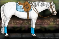 Horse Color:Silver Black Pearl Tobiano Appaloosa