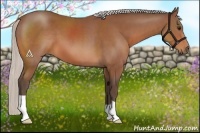Horse Color:Silver Bay 
