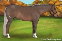 Horse Color:Silver Black 