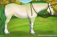 Horse Color:Watercolor Sable Champagne Onyx Sabino 