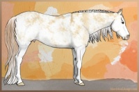 Horse Color:Red Dun Sabino 