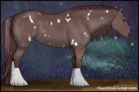 Horse Color:White Spotted Chocolate Black 