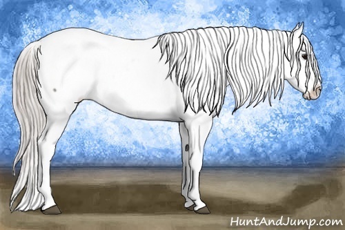 Horse Color:Silver Black Ice Tobiano Appaloosa