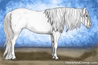 Horse Color:Silver Black Ice Tobiano Appaloosa