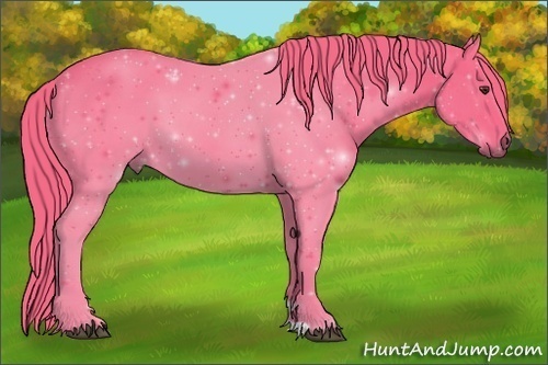Horse Color:Watercolor Liver Chestnut 