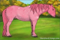 Horse Color:Watercolor Liver Chestnut 