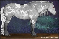 Horse Color:White Spotted Silver Grullo Chinchilla 