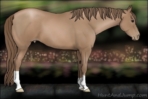 Horse Color:Black Pearl 