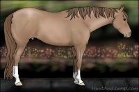 Horse Color:Black Pearl