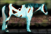 Horse Color:Thunderstruck White Spotted Bay Splash Varnish 