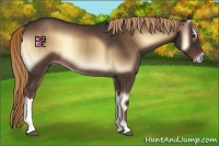 Horse Color:Liver Red Onyx Rabicano 