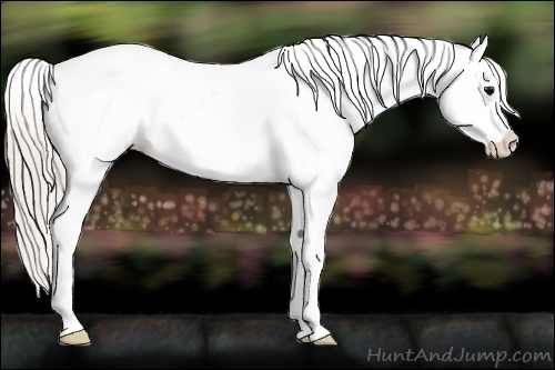 Horse Color:Silver Black Ice Splash Appaloosa 
