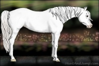 Horse Color:Silver Black Ice Splash Varnish
