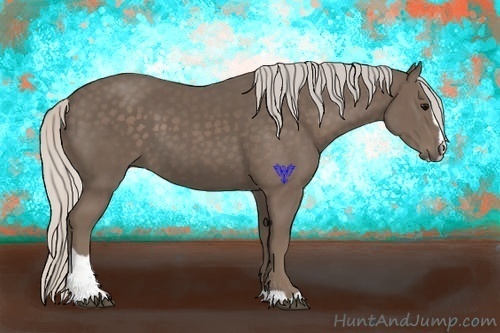 Horse Color:Silver Black Sabino 