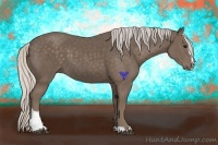 Horse Color:Silver Black Sabino 