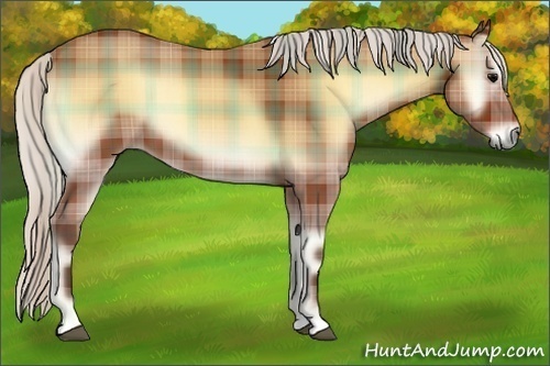 Horse Color:Plaid Silver Bay Onyx