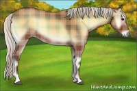 Horse Color:Plaid  Silver Bay Onyx 