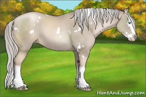 Horse Color:White Spotted Chocolate Palomino Pearl Splash