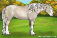 Horse Color:White Spotted Chocolate Palomino Pearl Splash
