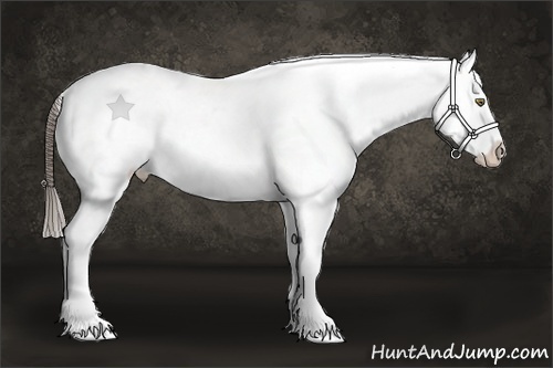 Horse Color:Smoky Grullo Roan Near Leopard Brindle
