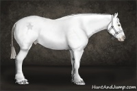 Horse Color:Smoky Grullo Roan Near Leopard Brindle 