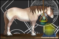 Horse Color:Liver Red Onyx Roan Pearl Sabino Brindle 