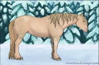 Horse Color:Watercolor Gold Champagne 