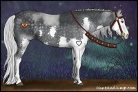 Horse Color:Silver Blue Chinchilla Roan Splash 