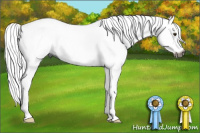 Horse Color:Gray Chestnut Sabino