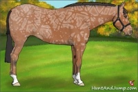 Horse Color:Bay Ice