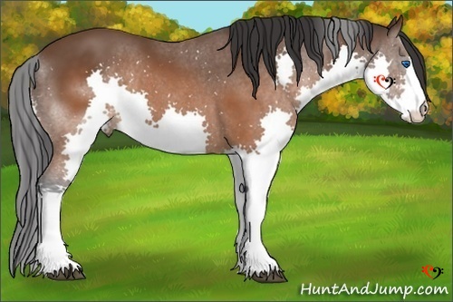 Horse Color:Brown Splash 