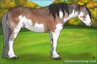 Horse Color:Brown Splash 