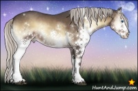 Horse Color:White Spotted Silver Blue Onyx Splash