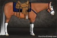 Horse Color:Bay Splash 