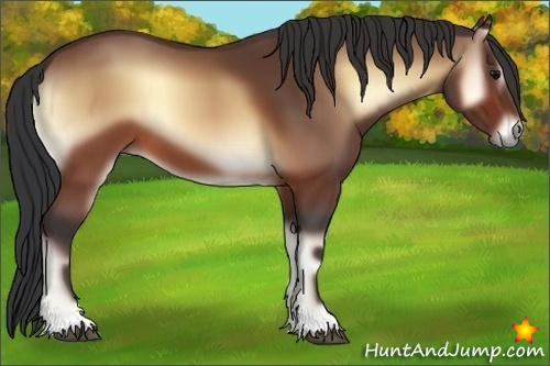 Horse Color:Brown Onyx