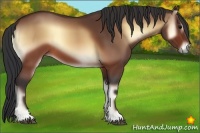 Horse Color:Brown Onyx