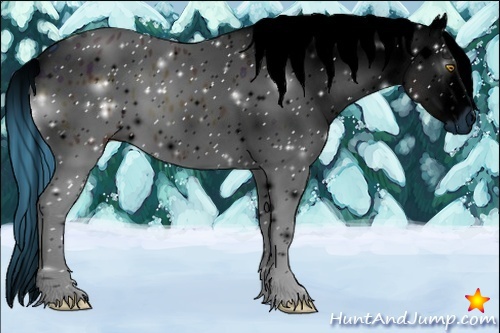 Horse Color:ERROR: UNKNOWN ANOMALY