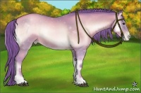 Horse Color:Watercolor Bay Roan Pearl Onyx Sabino