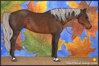 Horse Color:Silver Brown 
