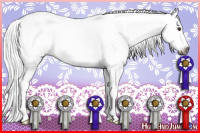 Horse Color:Gray White Spotted Chestnut Sabino 