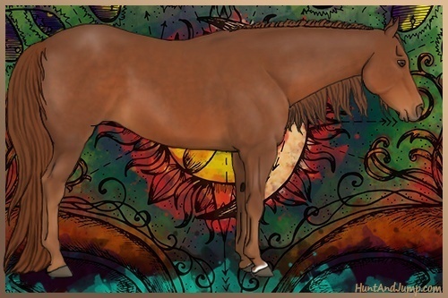 Horse Color:Chestnut 