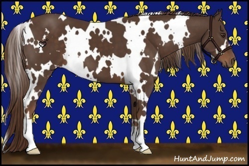 Horse Color:White Spotted Liver Chestnut 