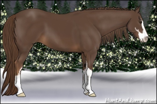 Horse Color:Liver Chestnut Sabino 