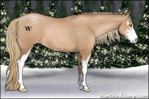 Horse Color:Chestnut Pearl Sabino 
